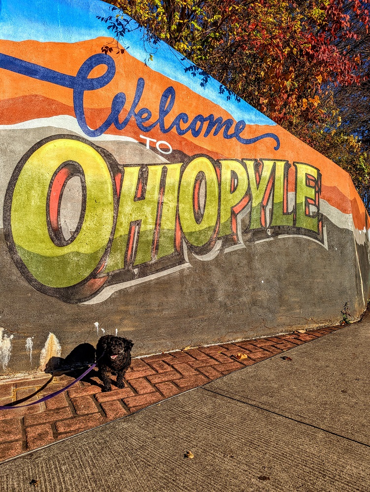 Truffles felt very welcome at pet-friendly Ohiopyle State Park