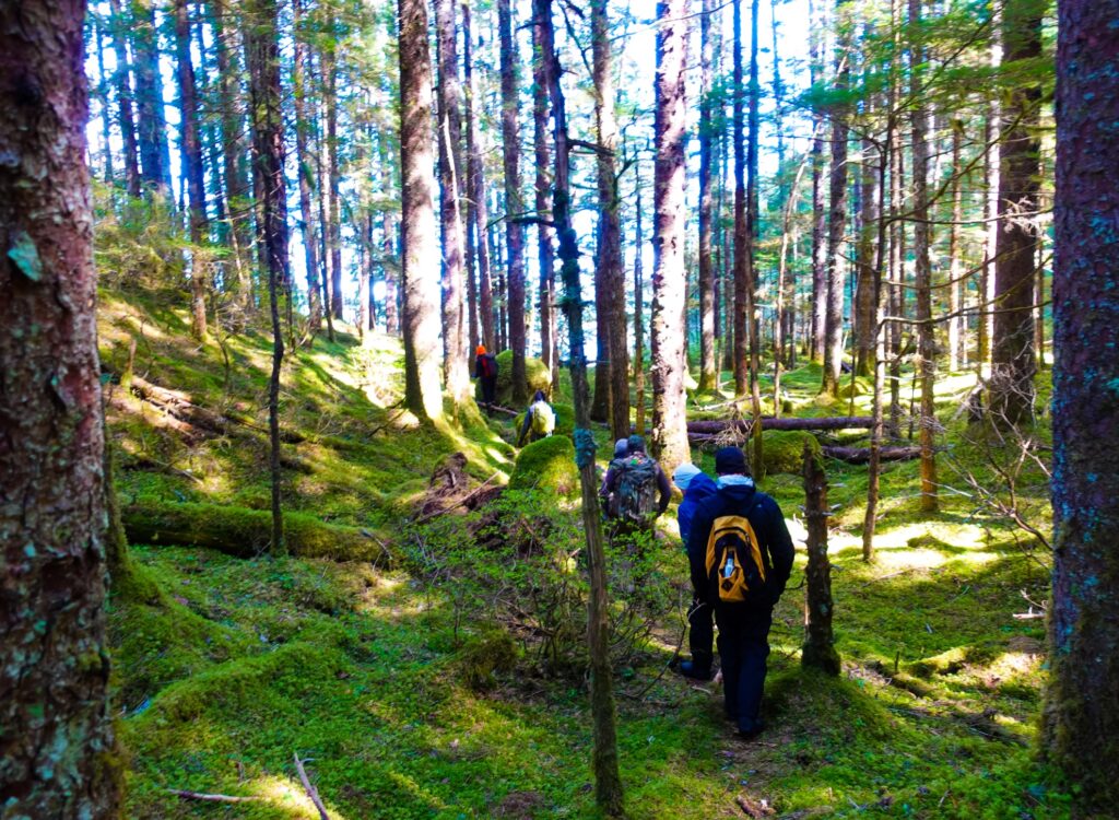 Bushwacking through Bear Track Cove.