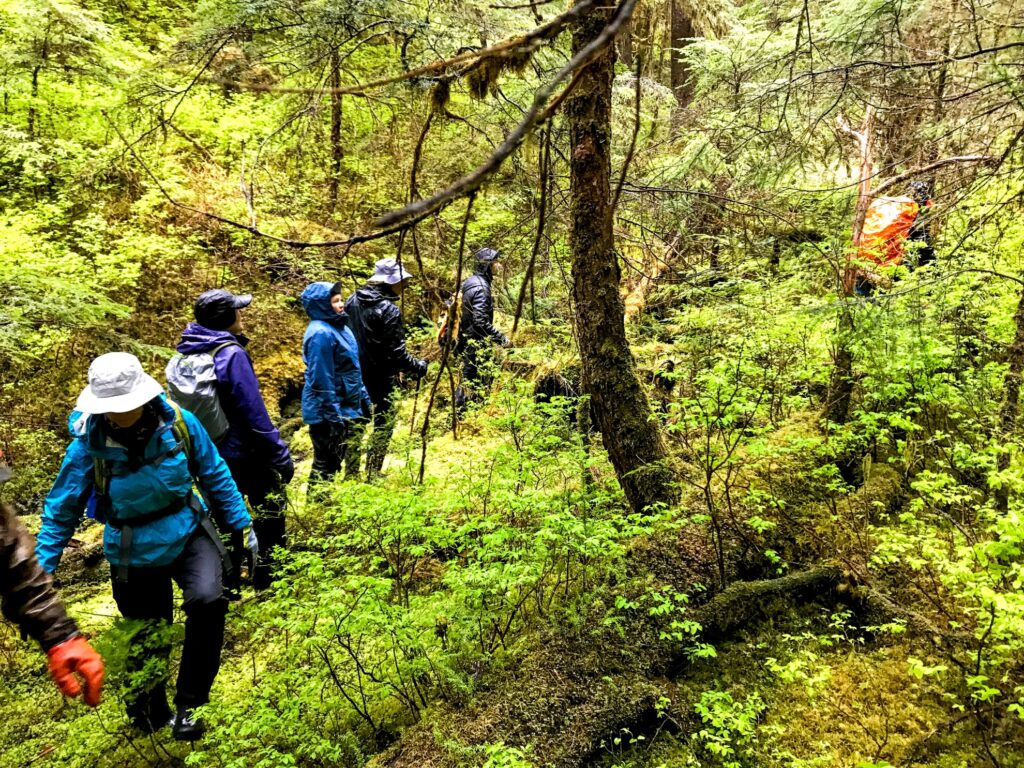 Bushwacking through the Tongass Forest.