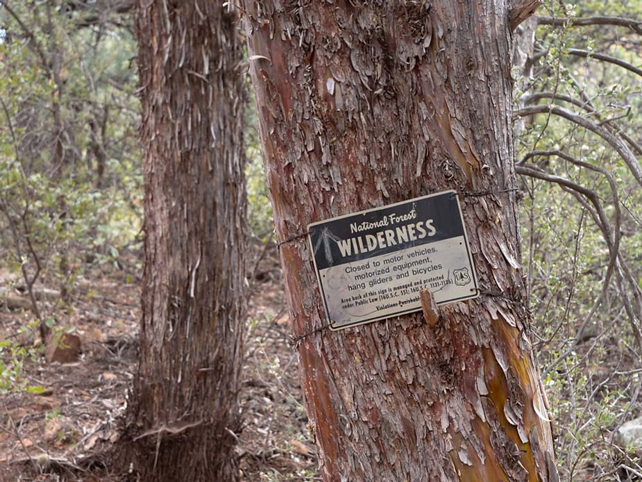 Tree with sign attached along Soldiers Pass trail