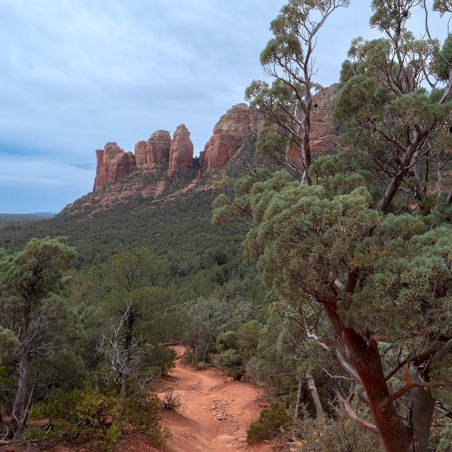 Coconino National Forest trail