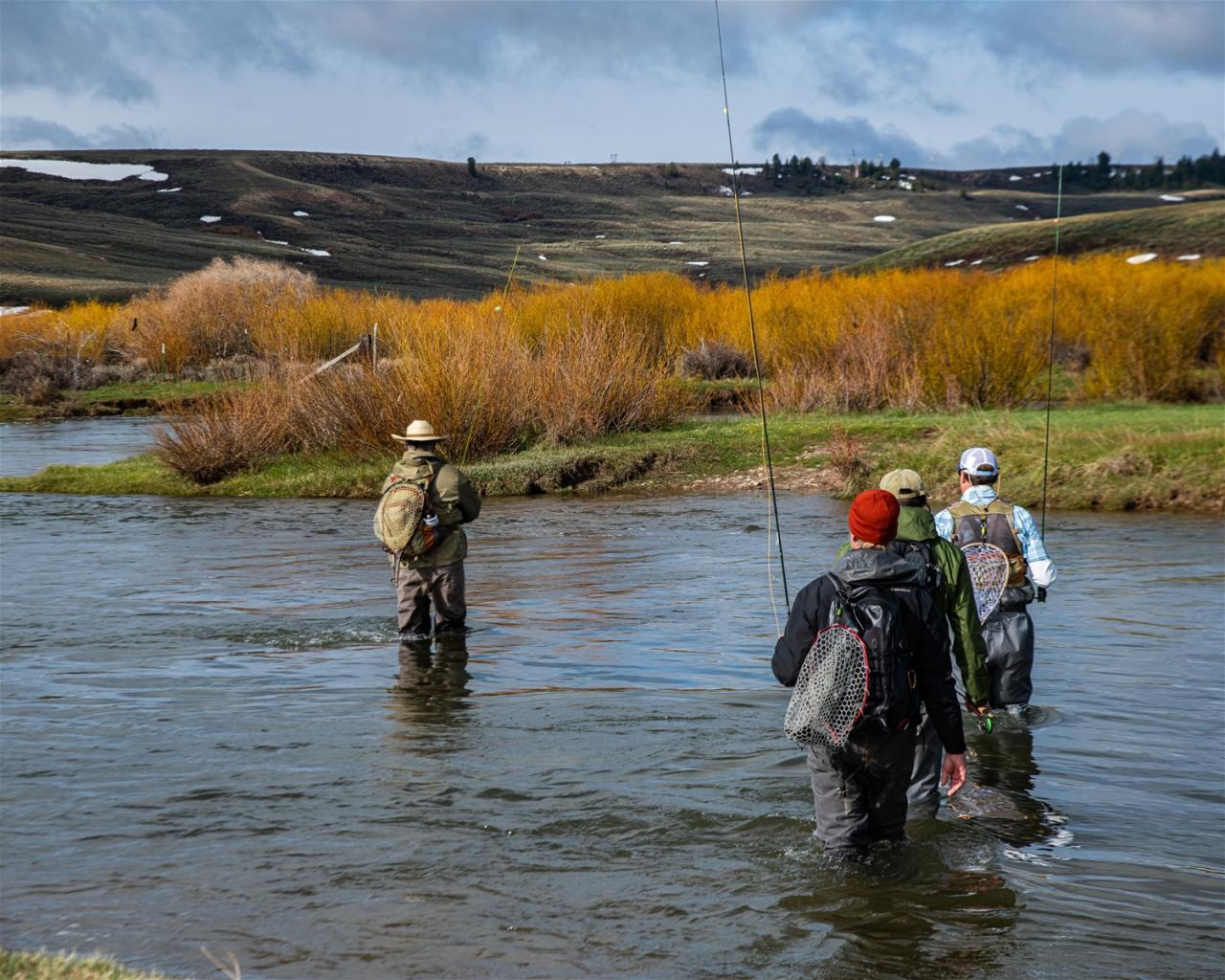Three Fly Fisherman Wade Into The Gallatin River