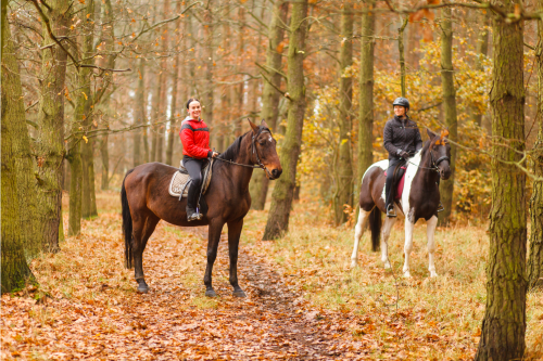 Two People on Horseback During Fall