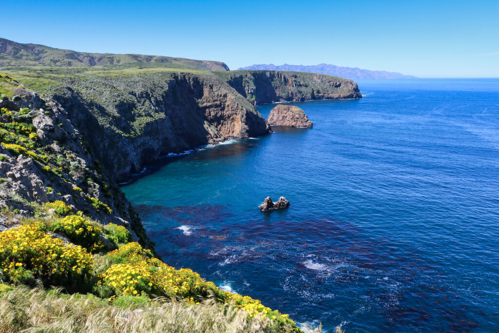 Deep blue sea at the cliff side of the Coast of Santa Cruz Island, Channel Islands National Park.